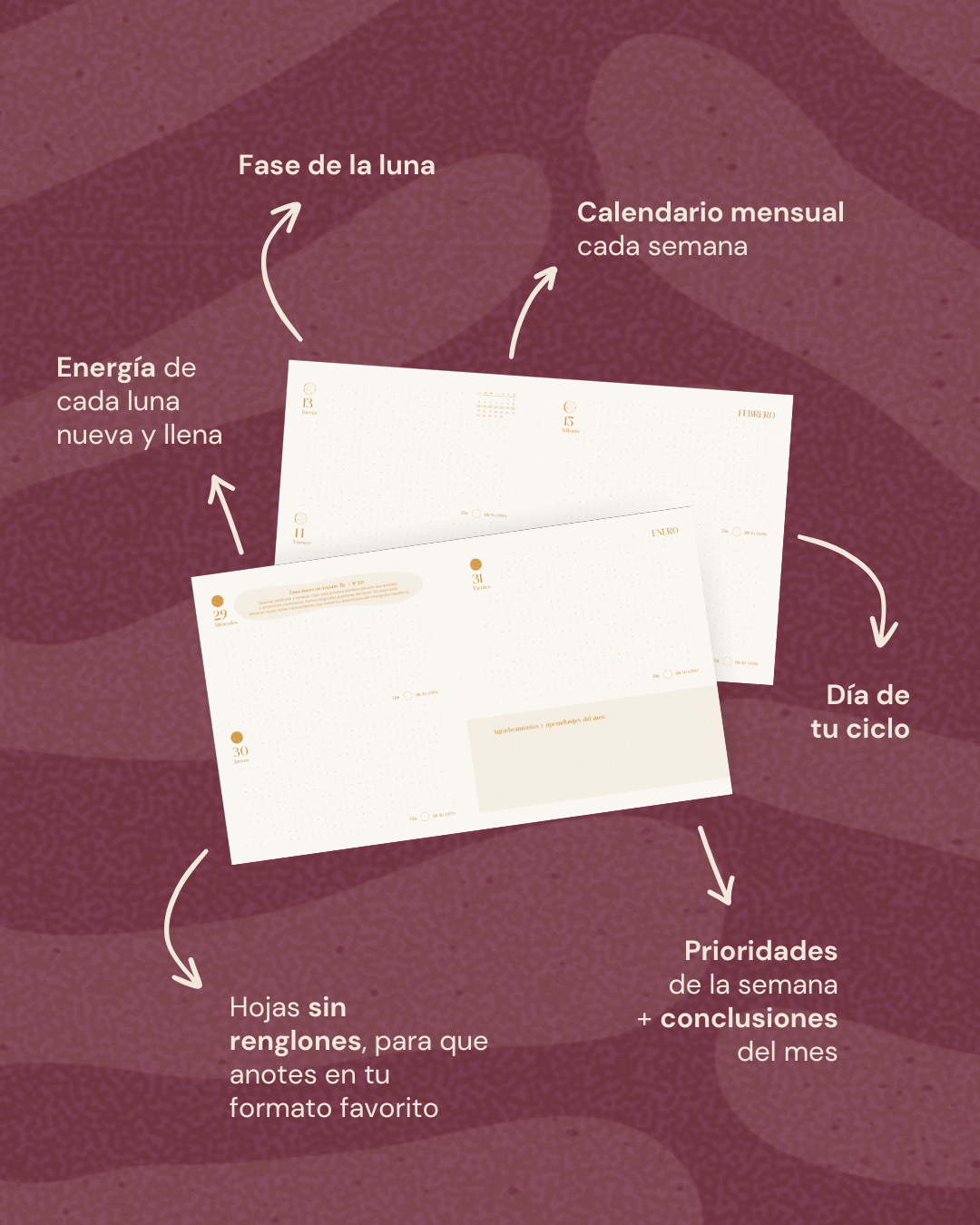 Preventa Ronda 2026 ✨ Agenda cíclica
